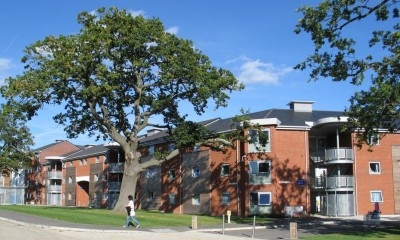 UNIVERSITY OF SURREY - HERE COMES THE SUN...REY